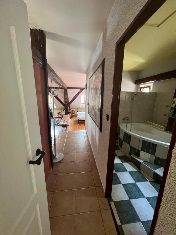 Apartman Galant Cesky Krumlov Luaran gambar